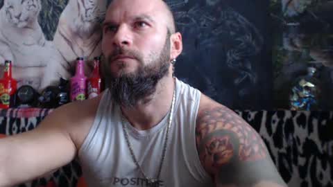 viking online show from December 31, 10:04 am