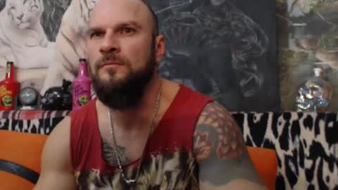 viking online show from January 1, 8:04 pm