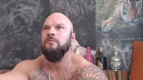 Snapshot of viking_me chatting on November 2, 10:28 am viking online show from November 2, 10:28 am