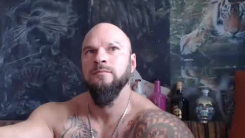 Snapshot of viking_me chatting on November 7, 10:26 am viking online show from November 7, 10:26 am