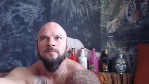 Snapshot of viking_me chatting on November 20, 7:19 am viking online show from November 20, 7:19 am