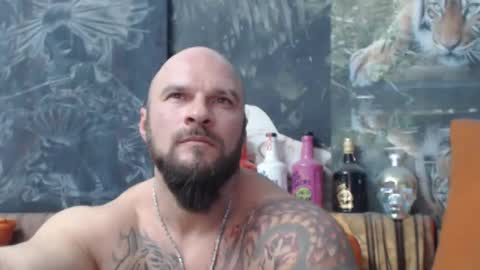 Snapshot of viking_me chatting on November 21, 7:12 pm viking online show from November 21, 7:12 pm