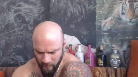 Snapshot of viking_me chatting on November 24, 7:08 am viking online show from November 24, 7:08 am