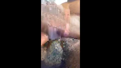 vincycock99 online show from April 27, 2:20 am