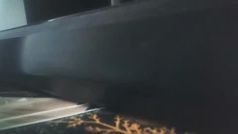 vip_90_daniele online show from December 17, 10:54 am