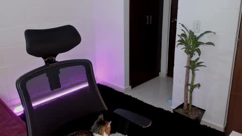 Snapshot of virtual111_ chatting on March 5, 12:27 am Lu online show from March 5, 12:27 am