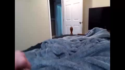 Snapshot of vladedivac1998 chatting on March 31, 6:19 pm vladedivac1998 online show from March 31, 6:19 pm