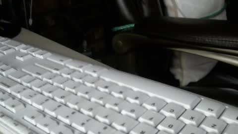 vnpg92 online show from December 13, 8:14 pm