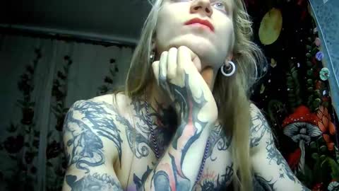 Elf online show from November 14, 2:38 pm