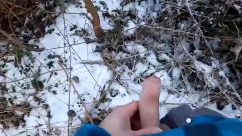 Snapshot of voyeuristicmcfly2 chatting on February 19, 4:22 pm mcfly online show from February 19, 4:22 pm