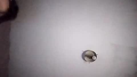 vujadetr online show from September 20, 7:42 am