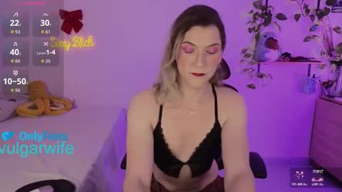 Snapshot of vulgar_wife chatting on February 22, 6:28 pm Vikky online show from February 22, 6:28 pm