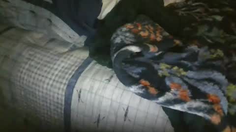 Snapshot of wade__stickler chatting on October 22, 1:17 am Wade Stickler online show from October 22, 1:17 am