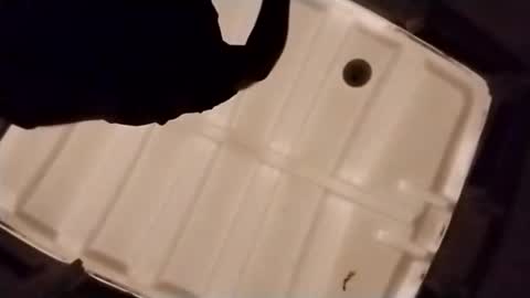 Snapshot of waffywaff77 chatting on December 4, 1:09 pm waffywaff77 online show from December 4, 1:09 pm