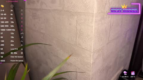 Snapshot of walt_enjoy chatting on February 1, 8:26 pm Walt Enjoy online show from February 1, 8:26 pm