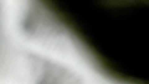 Snapshot of wangi_wangi chatting on February 18, 6:48 pm wangi_wangi online show from February 18, 6:48 pm