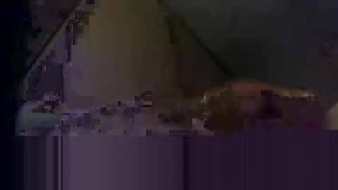 Snapshot of waynedmiller60895321 chatting on April 2, 2:53 am waynedmiller60895321 online show from April 2, 2:53 am