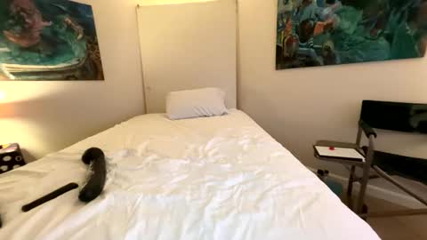 Snapshot of webcameraon chatting on March 7, 7:38 am Retainer Forever Solo Album online show from March 7, 7:38 am