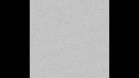 Maggie online show from October 19, 8:15 am