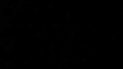 weeskank online show from October 5, 6:17 pm