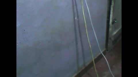 wela123456 online show from November 1, 1:02 pm