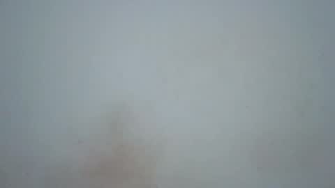 wet_pussieyy online show from February 17, 9:21 pm