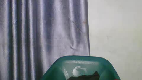 wetfatpussy_ online show from March 5, 6:59 pm