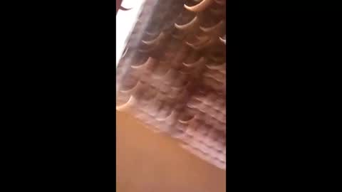 Snapshot of wgebnnrfodwt chatting on April 3, 7:01 pm wgebnnrfodwt online show from April 3, 7:01 pm