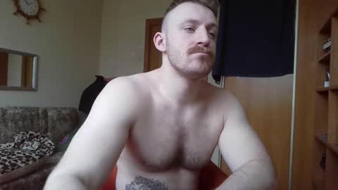 WhiteBull online show from March 2, 7:15 am