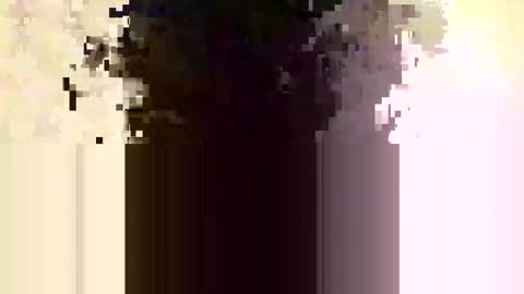 whitedood432 online show from November 28, 12:19 pm