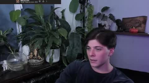 Gus online show from November 14, 8:40 pm