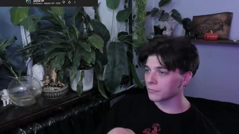 Gus online show from November 15, 8:05 pm