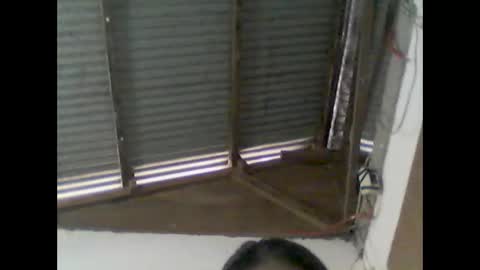 Snapshot of wild984501 chatting on January 11, 3:55 am wild984501 online show from January 11, 3:55 am