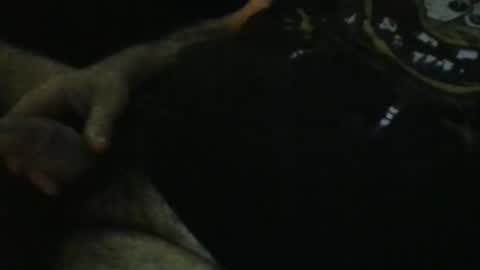 Snapshot of wildealexyz chatting on September 28, 11:21 pm WildeAlex online show from September 28, 11:21 pm