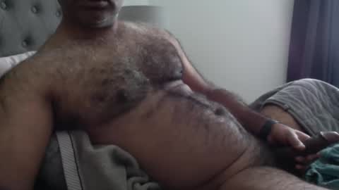 Snapshot of wildhungry chatting on November 17, 5:52 pm wildhungry online show from November 17, 5:52 pm