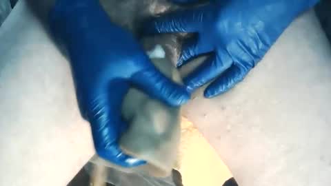 wildman6 online show from November 7, 8:20 pm