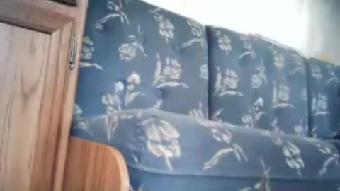 Snapshot of wildman6 chatting on June 20, 12:41 pm wildman6 online show from June 20, 12:41 pm