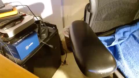 wildwills online show from April 14, 12:38 am