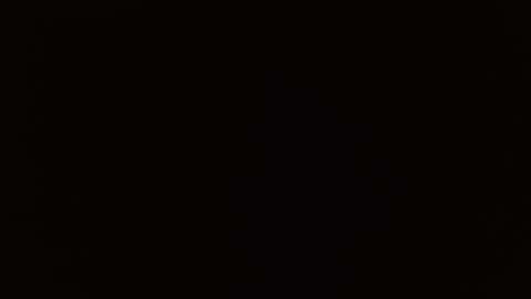 wildwills online show from April 14, 6:14 pm