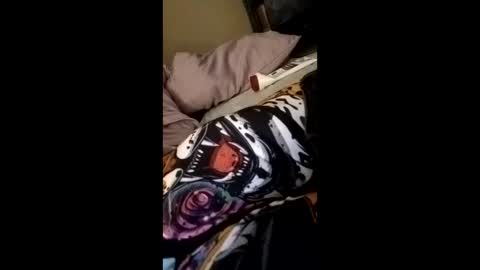 Snapshot of williebrad4 chatting on April 4, 6:22 am williebrad4 online show from April 4, 6:22 am