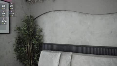 Ms Willow online show from December 12, 12:01 pm