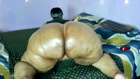 wilmaassylum online show from November 21, 7:18 am