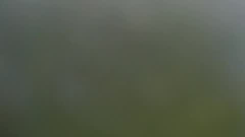 Wisa Randy online show from November 11, 6:08 pm