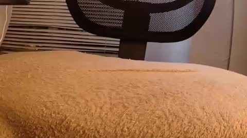 Snapshot of withbothhandsplease chatting on September 29, 8:30 am Mater online show from September 29, 8:30 am