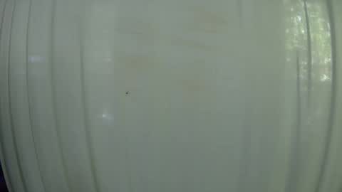 Snapshot of withbothhandsplease chatting on October 7, 7:55 pm Mater online show from October 7, 7:55 pm