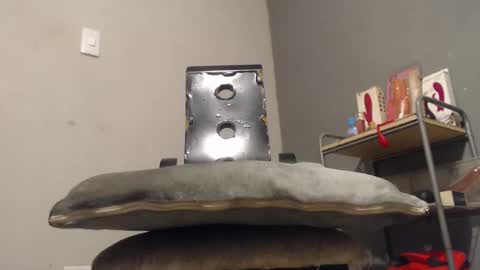 Snapshot of wonderfullight chatting on December 2, 11:00 pm SHENIEL RODRIGUEZ online show from December 2, 11:00 pm