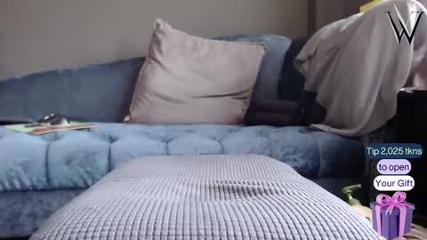 Wonder online show from December 22, 5:34 am