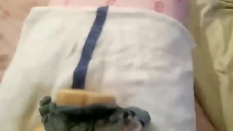 wood6957 online show from November 1, 12:29 pm