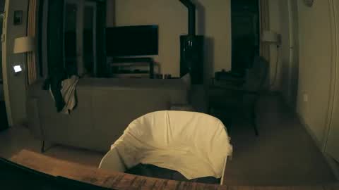 woodwurm and Snoeske online show from December 19, 6:09 am