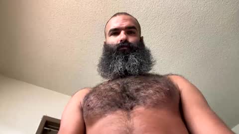 woof_wolf37 online show from November 1, 4:42 pm